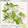 CU Flowers Vol.22 (Jasmin-Olya Designs) - clover