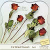 CU Dried Flowers Vol.1 (Jasmin-Olya Designs)