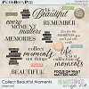 Collect Beautiful Moments Word Art