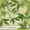 CU Leaves knots