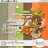 A Harvest Of Memories Mini Kit