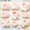 CU Paper Flowers Vol.2 (Jasmin-Olya Designs)