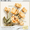 CU Dried flowers Vol.4 (Jasmin-Olya Designs)