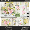 Sunkissed ~ Bundle plus FREE GIFT by Tiramisu design  