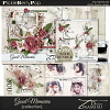 Good Memories ~ Bundle plus FREE GIFT by Tiramisu design 