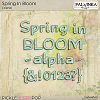 Spring In Bloom Alpha