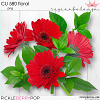 CU 580 FLORAL