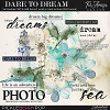 Dare to Dream ~ watercolor brushes and word art  