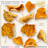 CU Autumn Leaves Vol.1 (Jasmin-Olya Designs)