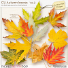 CU Autumn Leaves Vol.2 (Jasmin-Olya Designs)