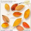 CU Autumn Leaves Vol.4 (Jasmin-Olya Designs)