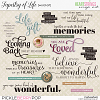 Tapestry of Life Word Art