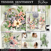 Tender Sentiment Bundle Plus Free Gift by TirAmisu design