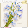 CU Flowers Vol.44 (Jasmin-Olya Designs)