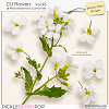 CU Flowers Vol.45 (Jasmin-Olya Designs)