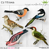 CU 770 BIRDS