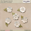 CU Flowers Vol.12