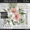 This Is Love ~ brushes and word art by TirAmisu design