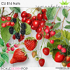 CU 816 FRUITS 