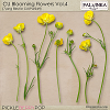 CU Blooming Flowers Vol.4