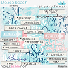 DELICE BEACH WORD ART