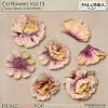 CU Flowers Vol.13 