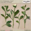 CU Greenery Vol.7