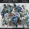 January Mood ~ Basic Kit by TirAmisu design 