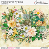 Flowers For My Love-Elements