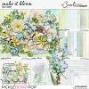 Make it bloom-Bundle