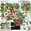 Strawberry Mint Bundle by et designs