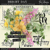 Bright Day ~ brushes and word art