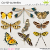 CU 929 BUTTERFLIES 