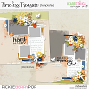 Timeless Treasure Templates