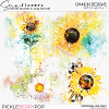 Sunflowers - transfer brushes in .png format