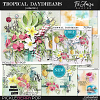 Tropical Daydreams Bundle  