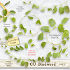 CU Bindweed Vol.1