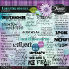 I am the Storm: WordArt