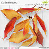 CU 982 LEAVES