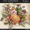 Just September ~ Basic Kit 