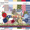 Patriotic Picnic: Mini Kit