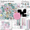 The Beauty Of January-Bundle