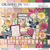 Crushing On You: Mini Kit