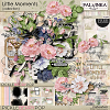 Little Moments Collection