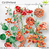 CU 074 FLORAL  