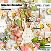 Crazy daisy Bunny love - full kit