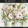 The Blossom ~ Basic Kit 