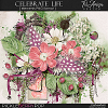 Celebrate Life ~ Basic Kit 