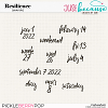 Resilience Date Bits by JB Studio