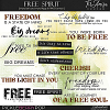 Free Spirit ~ Word Art 